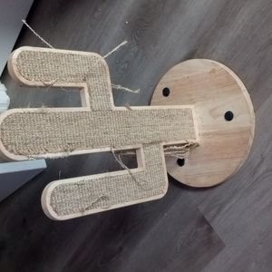 cactus scratching board (specifically for cats)